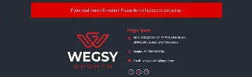 Wegsy Sports banner