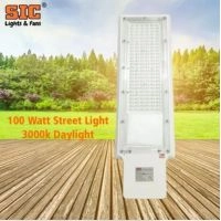  SIC Street Light 100W Warm White / Cool Daylight 3000/6000K