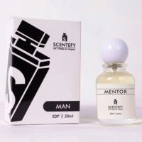  Mentor | Our Impression of Silver Mountain