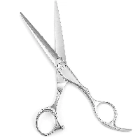  Hair Dressing Scissors Professional Barber Salon Cutting Scissors Stainless Steel Supplier Pakistan