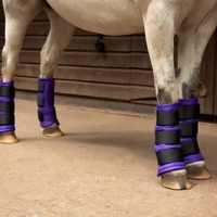  Saddle Pad