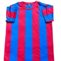  Premium Polyester Sports T-Shirt – Breathable Quick Dry Round Neck Gym & Training Shirt – Custom Team Uniform Manufacturer