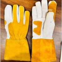  Gloves