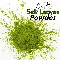  Wholesale Sidr Powder Pakistan For Hair and Skin Care – Premium Sidr Leaves Powder Bulk Supplier from District Karak KPK