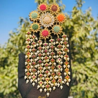  Trendy Shaahi Sees Phool Headpiece Tasni Brooch Bridal Jewelry Hair Accessories Traditional Wedding Jewelry