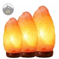  Natural Shape Himalayan Salt Lamp with Carved Wooden Base for Spa Therapy and Healing Atmosphere