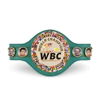  Replica WBC World Championship Belt Boxing Wrestling Championship Belt Custom Metal Plate Leather Belt Sports Trophy Supplier Pakistan