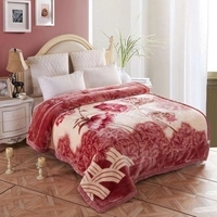  Premium Super Soft Microfiber Blanket Flannel Fleece Baby Luxury Throw Blanket