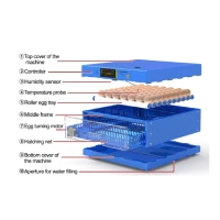  100 Eggs AC/DC Full Automatic Egg Incubator | Intelligent Poultry Hatchery Machine | Auto Water Refilling System
