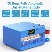 36 Eggs AC/DC Full Automatic Egg Incubator | Intelligent Poultry Hatchery Machine | Auto Water Filling System