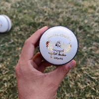  Best Kookaburra Premium Quality 4 Piece 156g Test Match Hard Cricket Balls Hand Stitched Leather White Cork Core