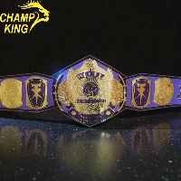  Wrestling Championship Belt
