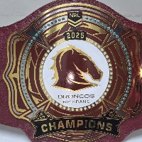  Wrestling Championship Belt