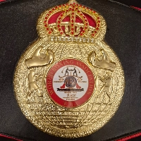 Boxing Championship belt